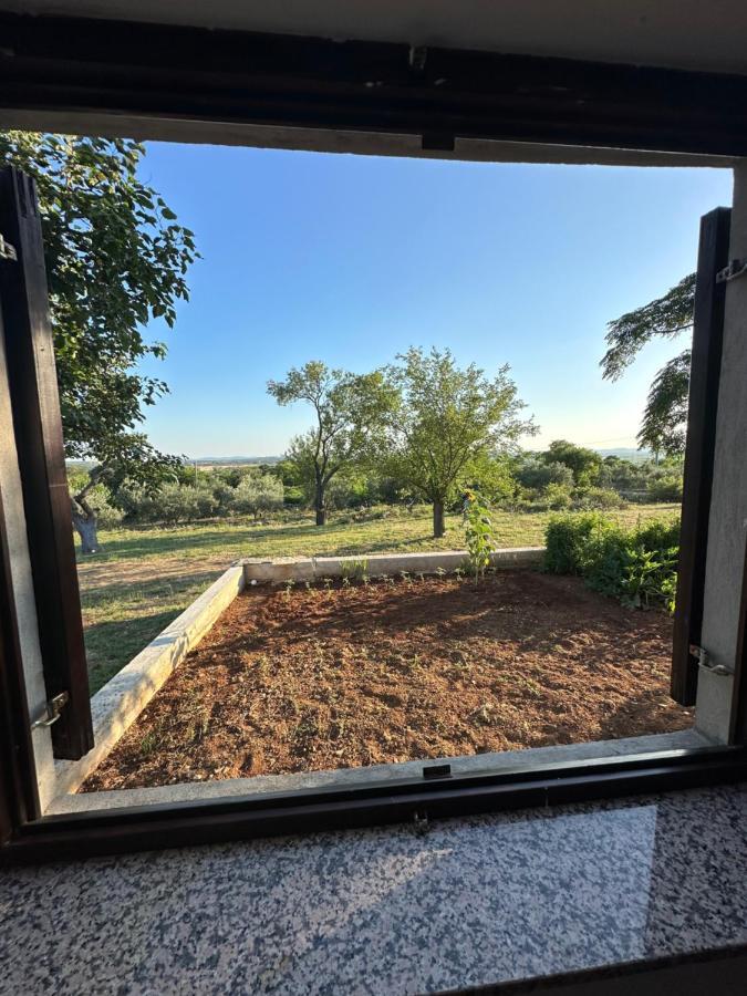 Relax And Unwind: Family-Friendly House Near Zadar In Zagrad Villa Exterior foto
